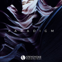 Steyoyoke Paradigm Vol.03 cover art