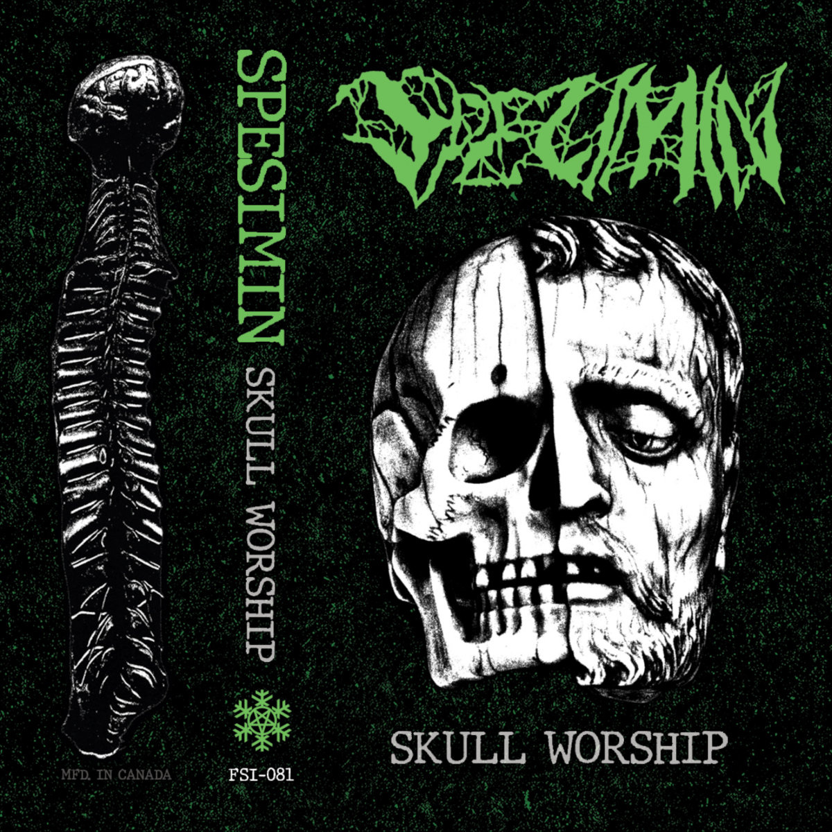 その他 Skull Worship [CD] Skull Worship | SPESIMIN