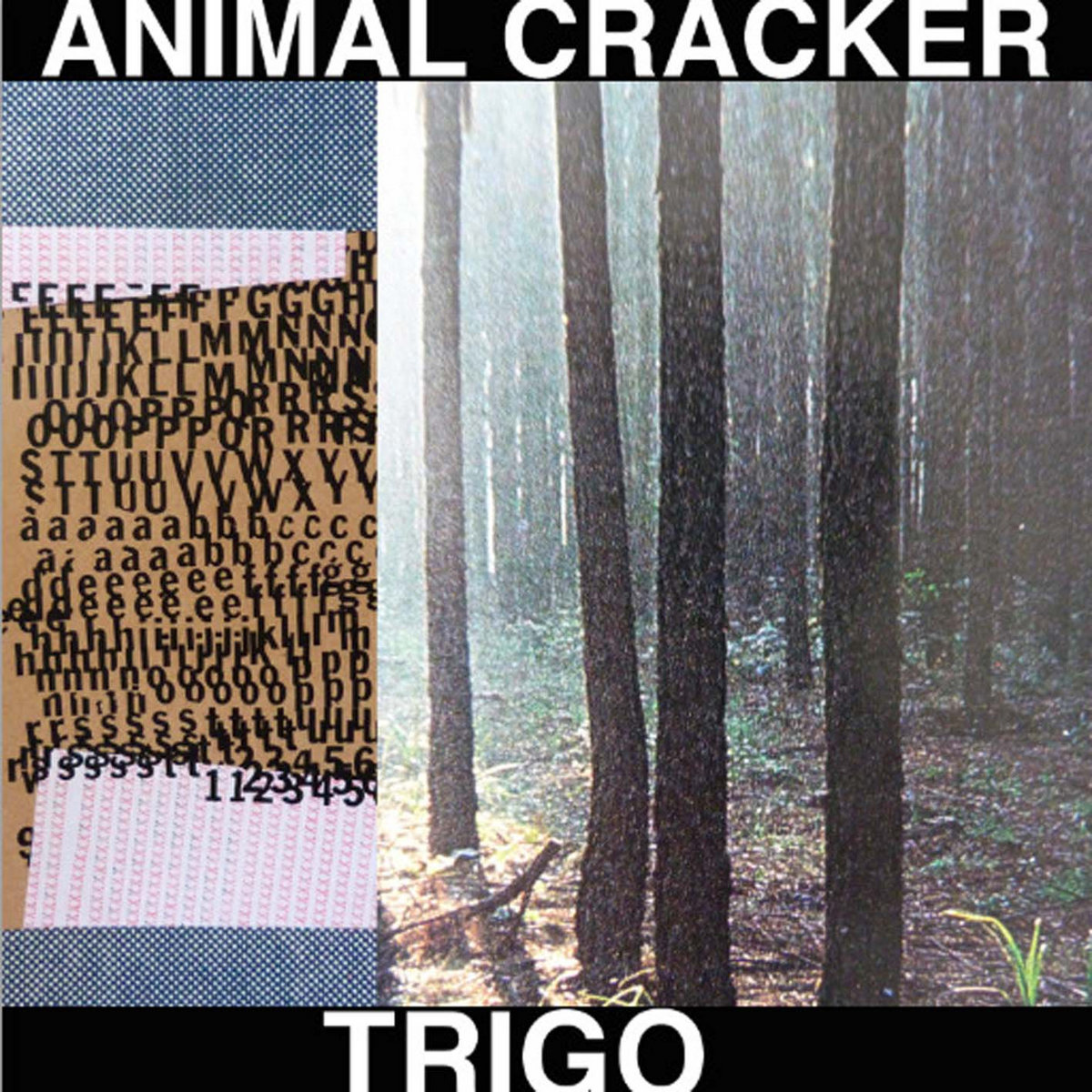[075] Trigo