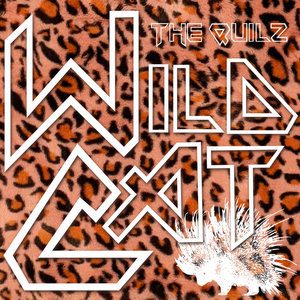 Wild Cat cover
