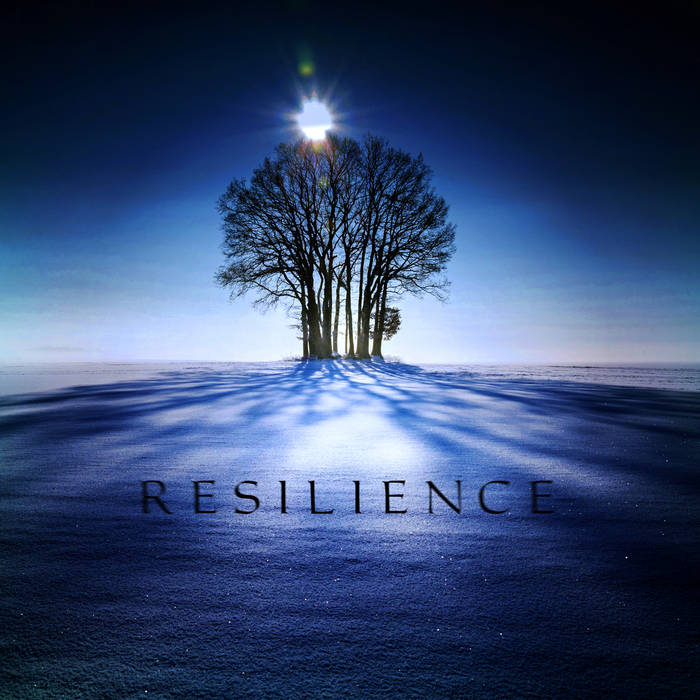 resilience and hard work