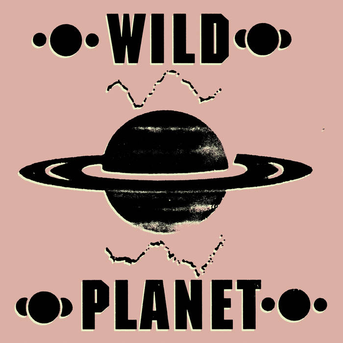 米2discs 12” Wild Planet Transmitter 4w400 430 West /00500 Transmitter | Wildplanet | Under The Radar