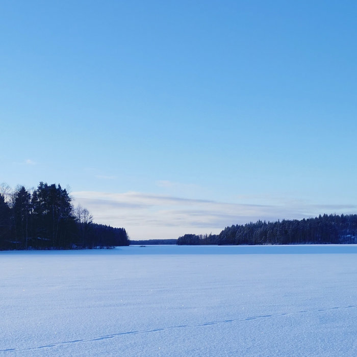 Meaning Up North | Atomiste