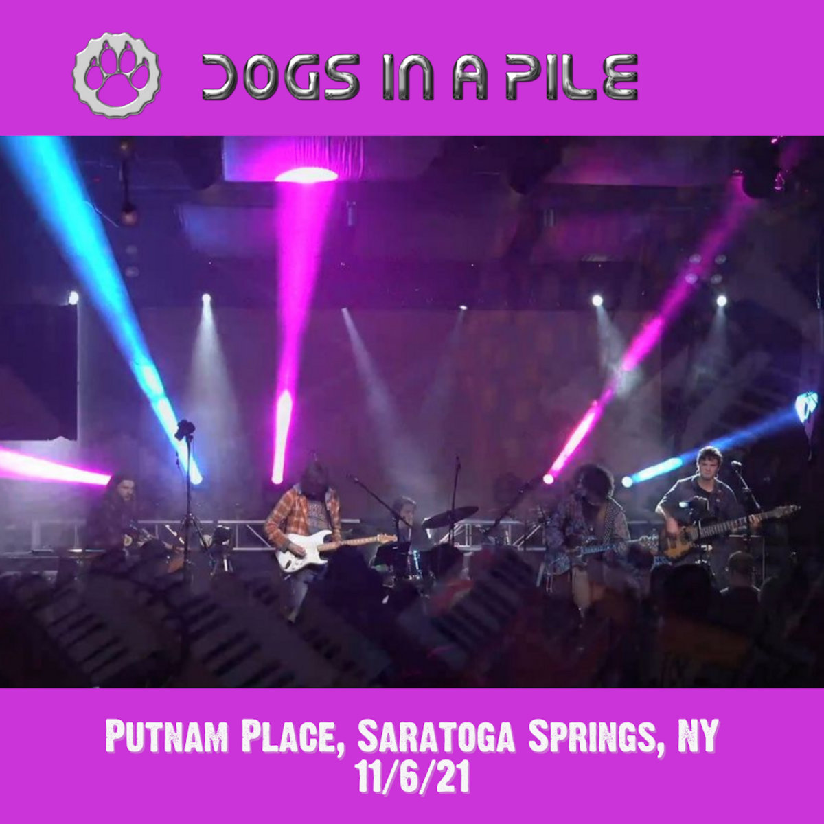11-06-21-putnam-place-saratoga-springs-ny-dogs-in-a-pile