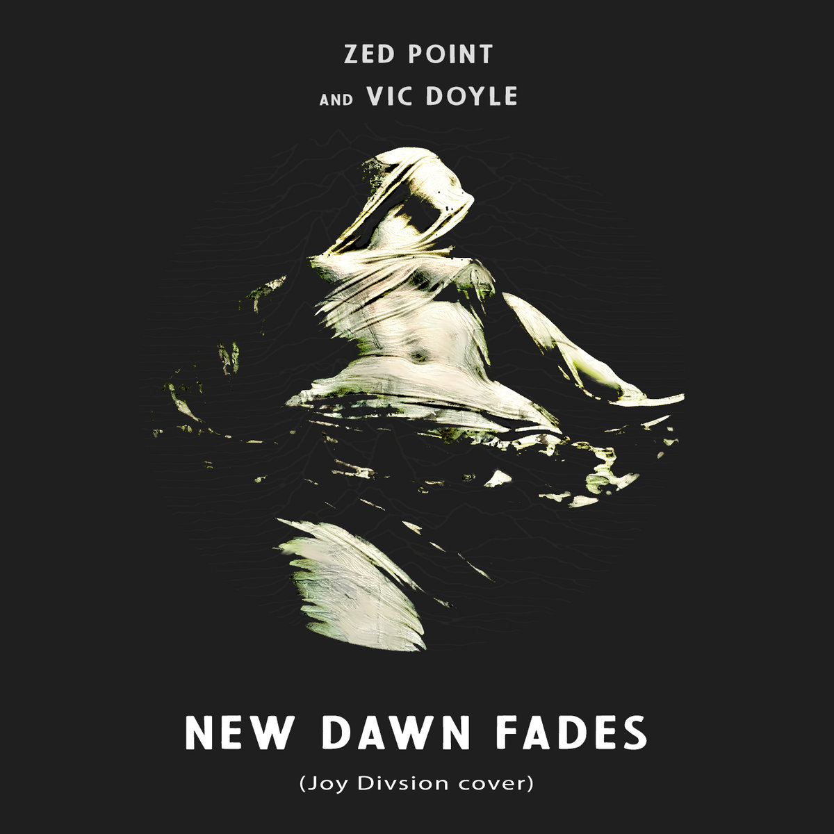 New Dawn Fades - Joy Division cover by Zed Point and Vic Doyle