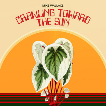 Crawling Toward The Sun | Mike Wallace