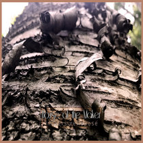 Immersive Repose cover art