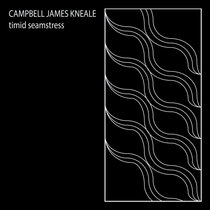 Timid Seamstress cover art