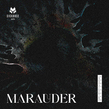 Cover art for Marauder