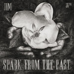 Spark From The Past LP