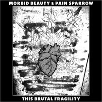 MB21 - Split with Pain Sparrow cover art