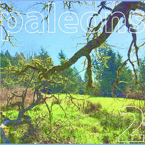 Paleons — PALEONS 2