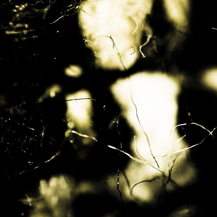 Optimal Meat To Bread Ratio Xploding Plastix