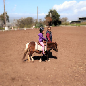 Ride the Range cover