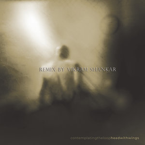 Contemplating the Loop Remix by Vikram Shankar cover