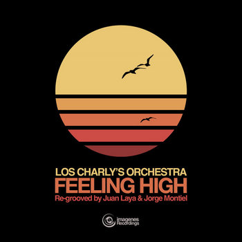 Los Charly's Orchestra レコード Los Charly's Orchestra Discography: Vinyl, CDs, & More | Discogs