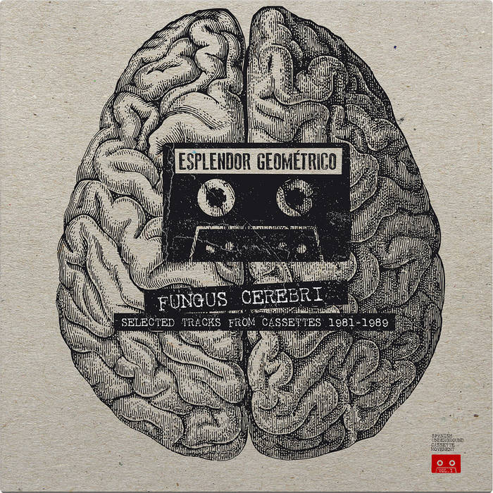 Fungus Cerebri | ESPLENDOR GEOMÉTRICO