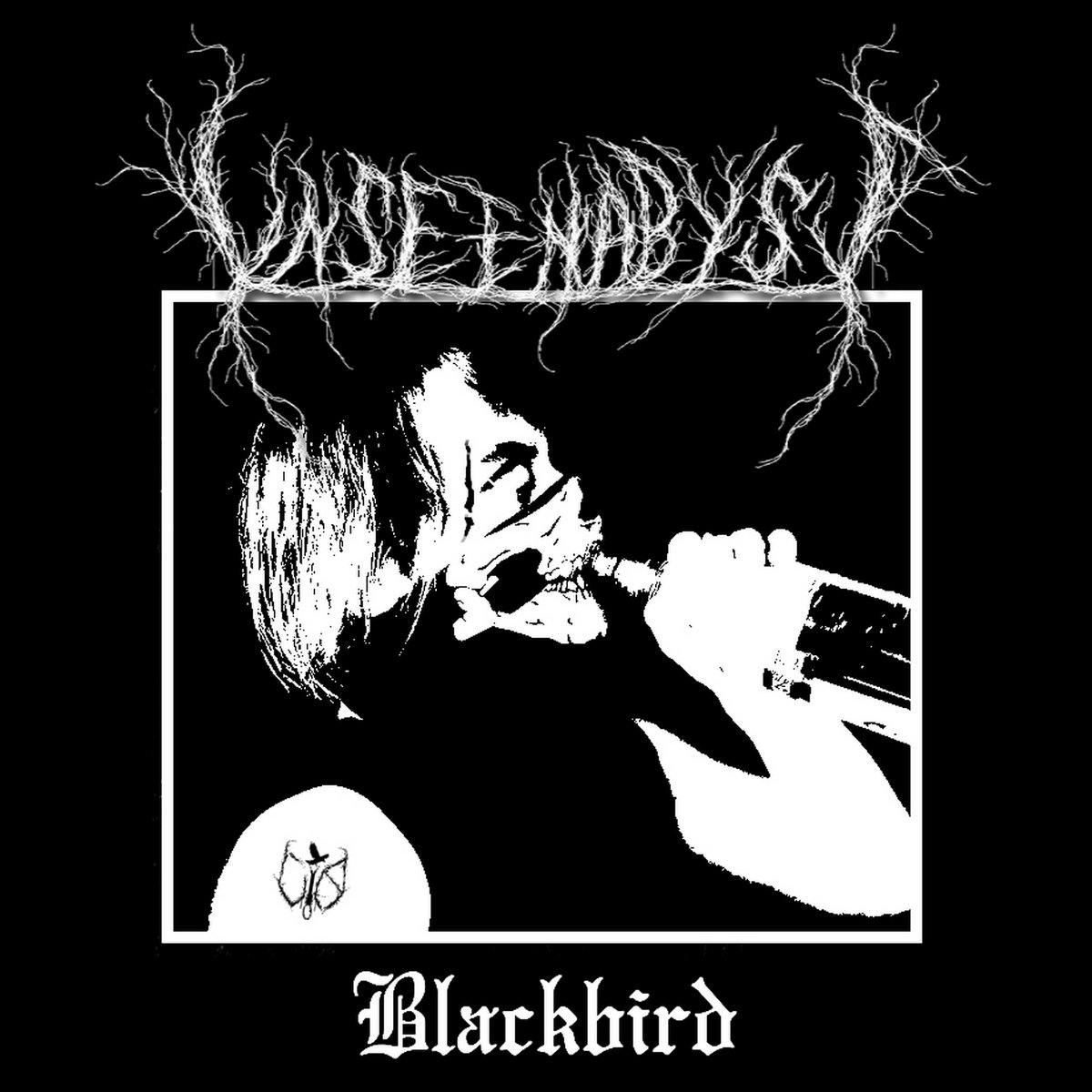 unseen abyss black metal le scribe du rock unseen abyss black metal le scribe du rock
