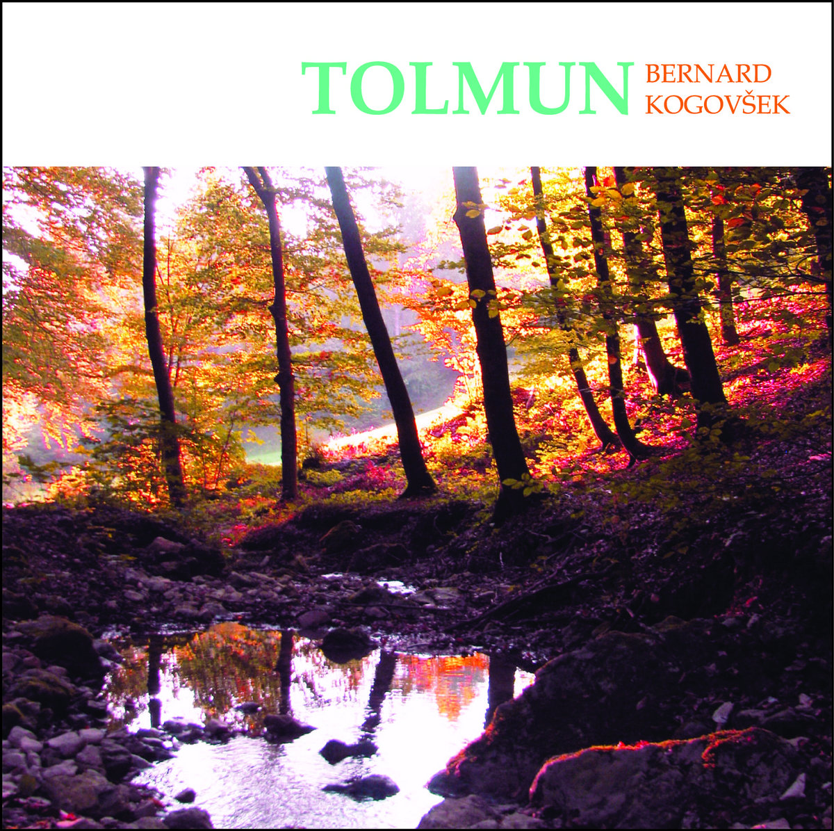 Tolmun