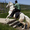 MG