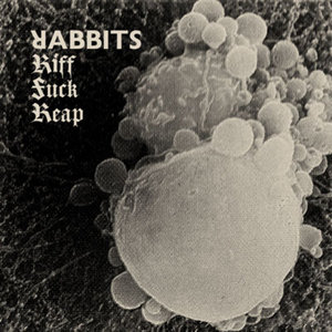 Riff Fuck Reap cover