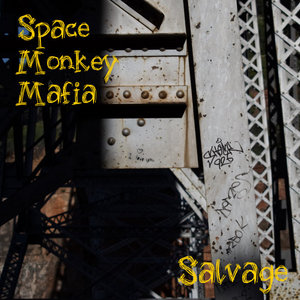 Salvage - Single cover