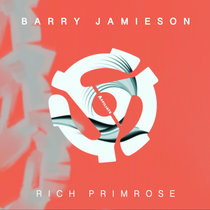 Rich Primrose (DJ set) cover art