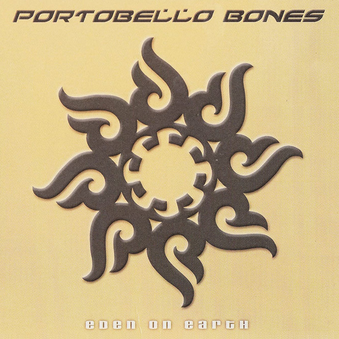 Burning The Flag, by PORTOBELLO BONES