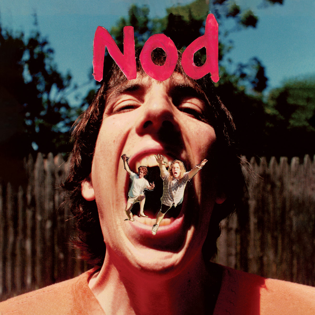 Nod | Nod | Carbon Records