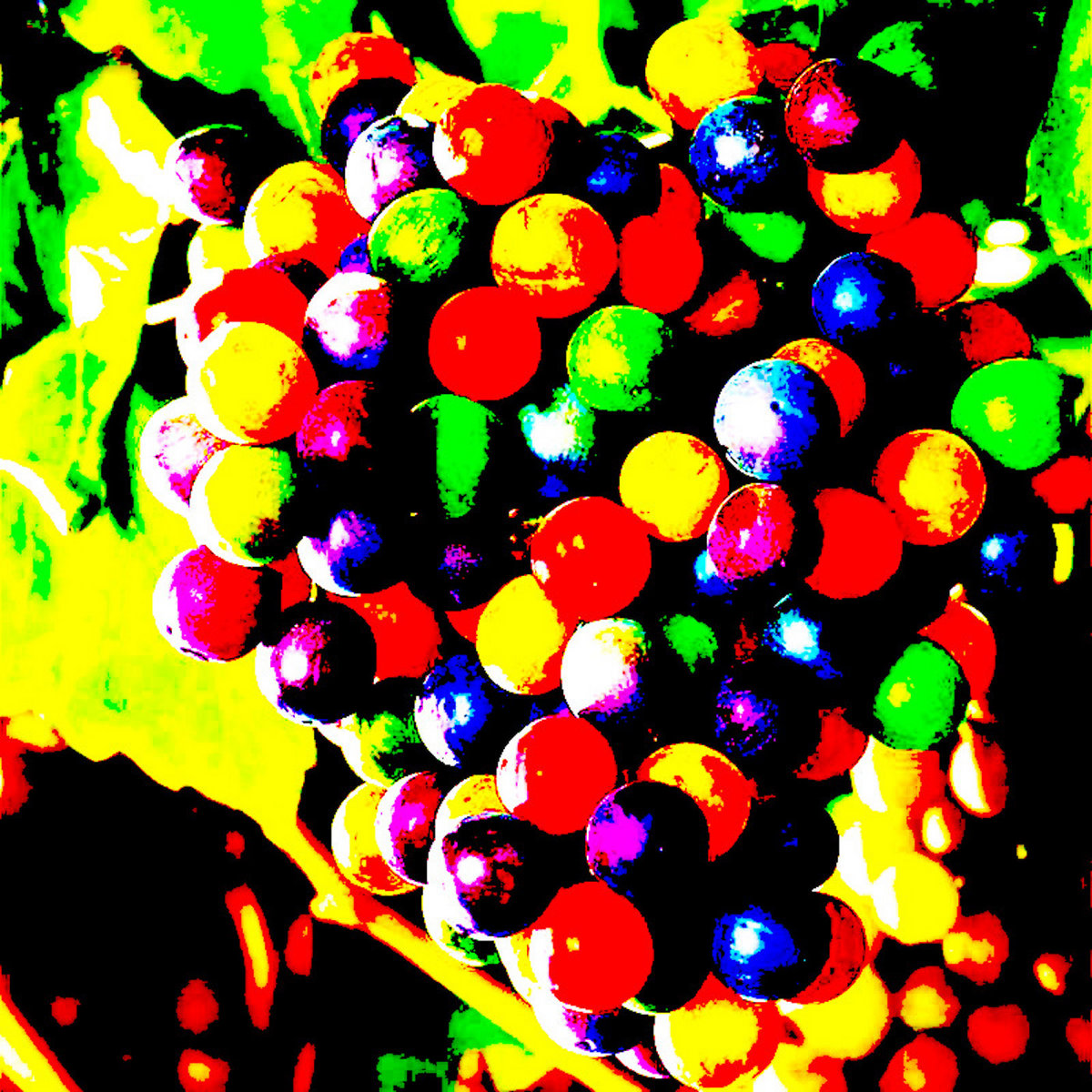 Fake Grapes Beach Stav