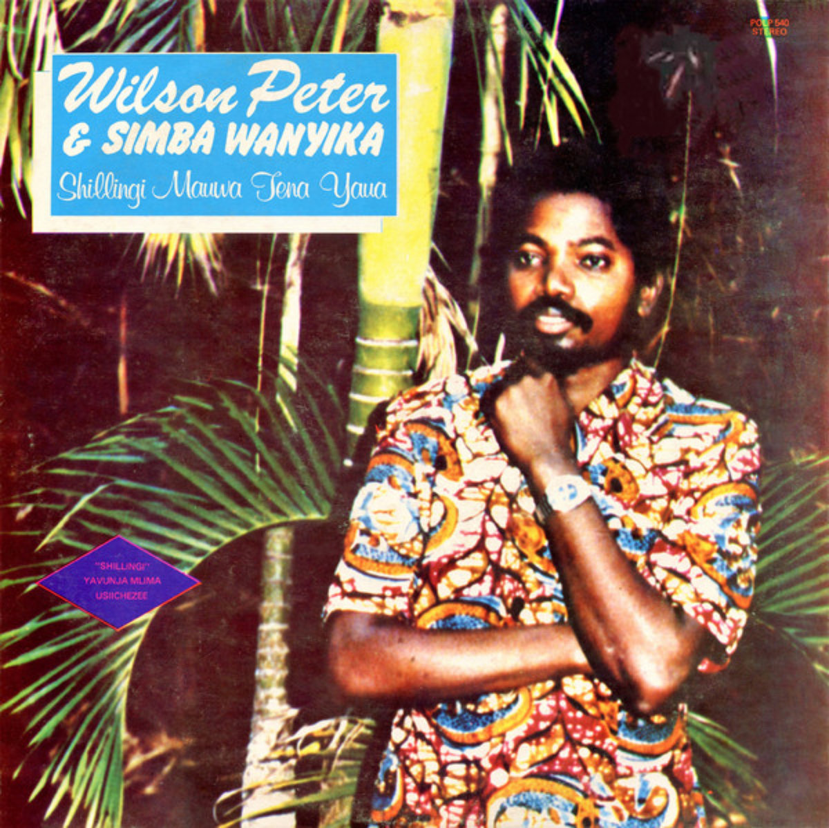 Wilson Peter & Simba Wanyika – Shillingi Mauwa Tena Yaua | Afrosunny ...
