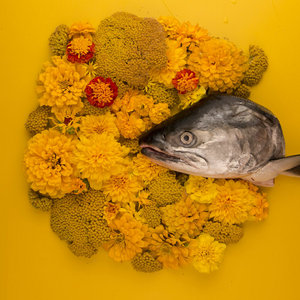 Fish Eyes EP cover