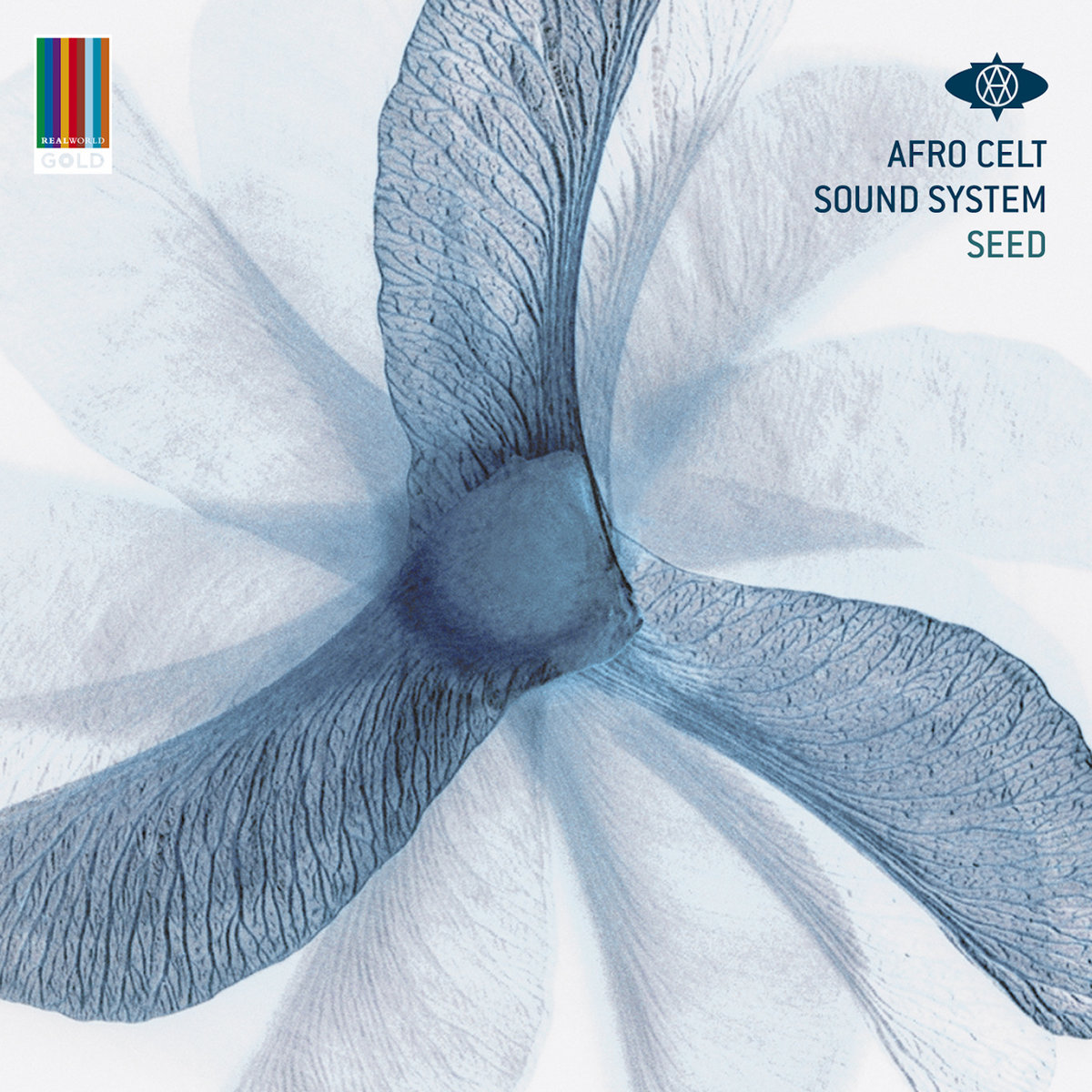 Afro celt 2024 sound system live