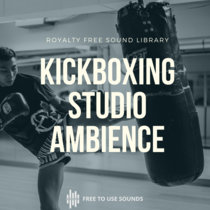 Punching and Kick Boxing Sound Effects cover art