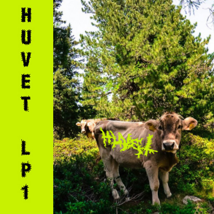 Pochette de LP1 par HUVET