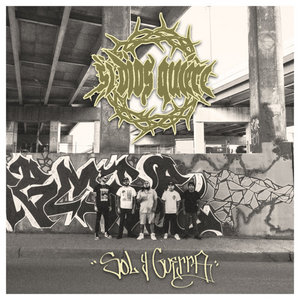 Sol Y Guerra cover
