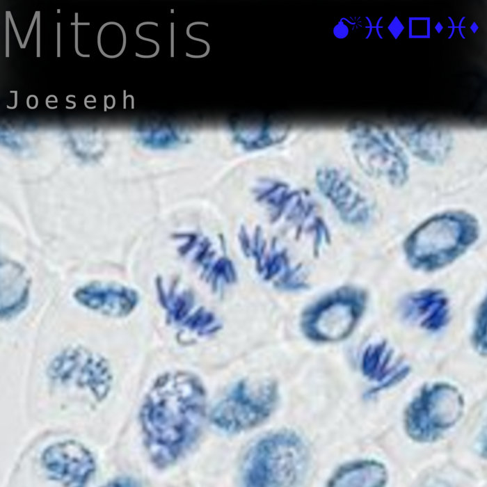 Mitosis Joeseph