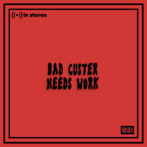 Bad Custer Needs Work cover art