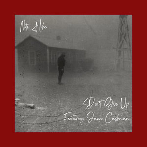 Don't Give Up (Feat. Jana Cushman) cover