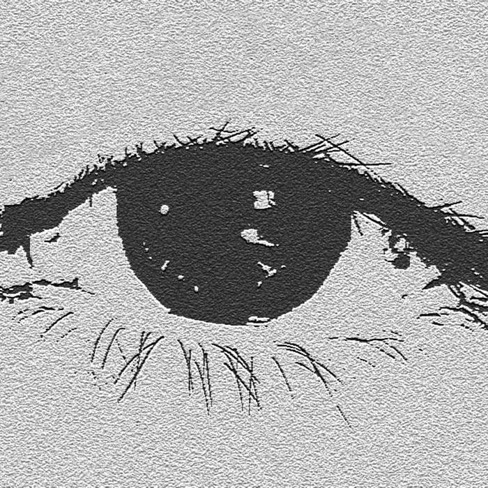 the human eye Cover Art