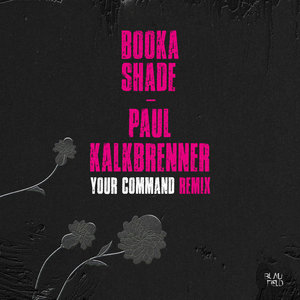Your Command (Paul Kalkbrenner Remix) [EP] cover