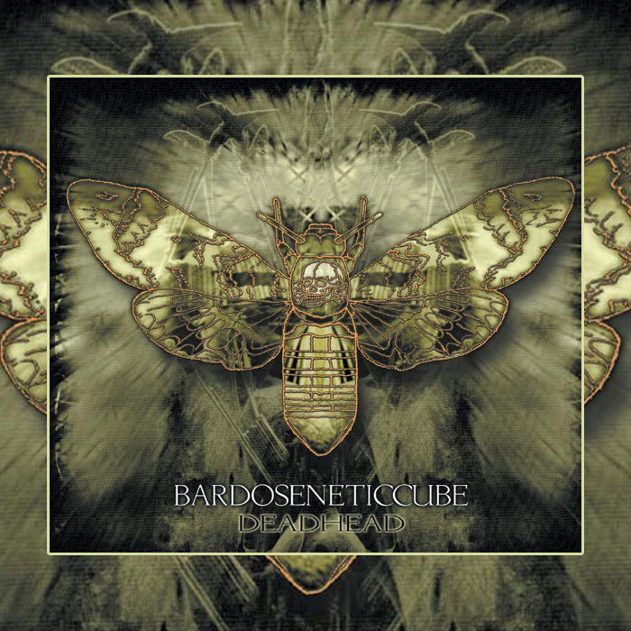 SKD10] BARDOSENETICCUBE - Deadhead (2007) | Bardoseneticcube