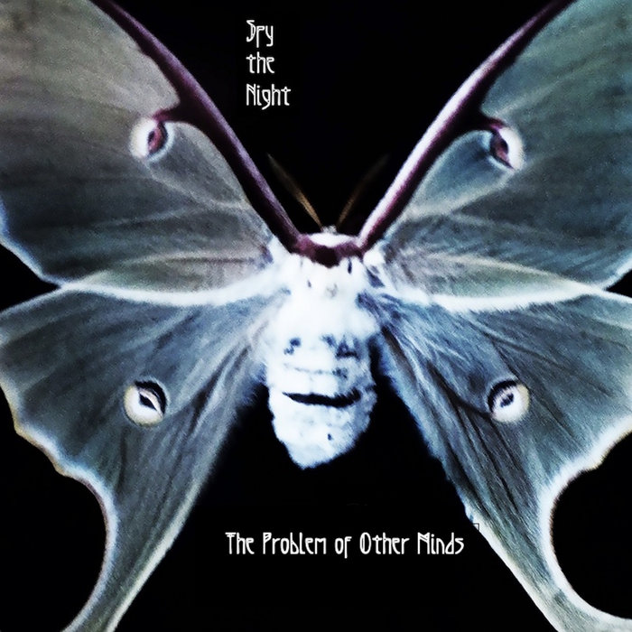 The problem of other minds spy the night