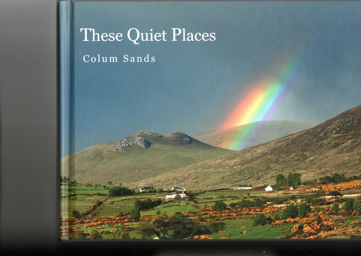 These Quiet Places cover