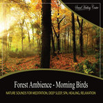 Forest Ambience - Morning Birds: Nature Sounds for Meditation, Deep Sleep, Spa, Healing, Relaxation