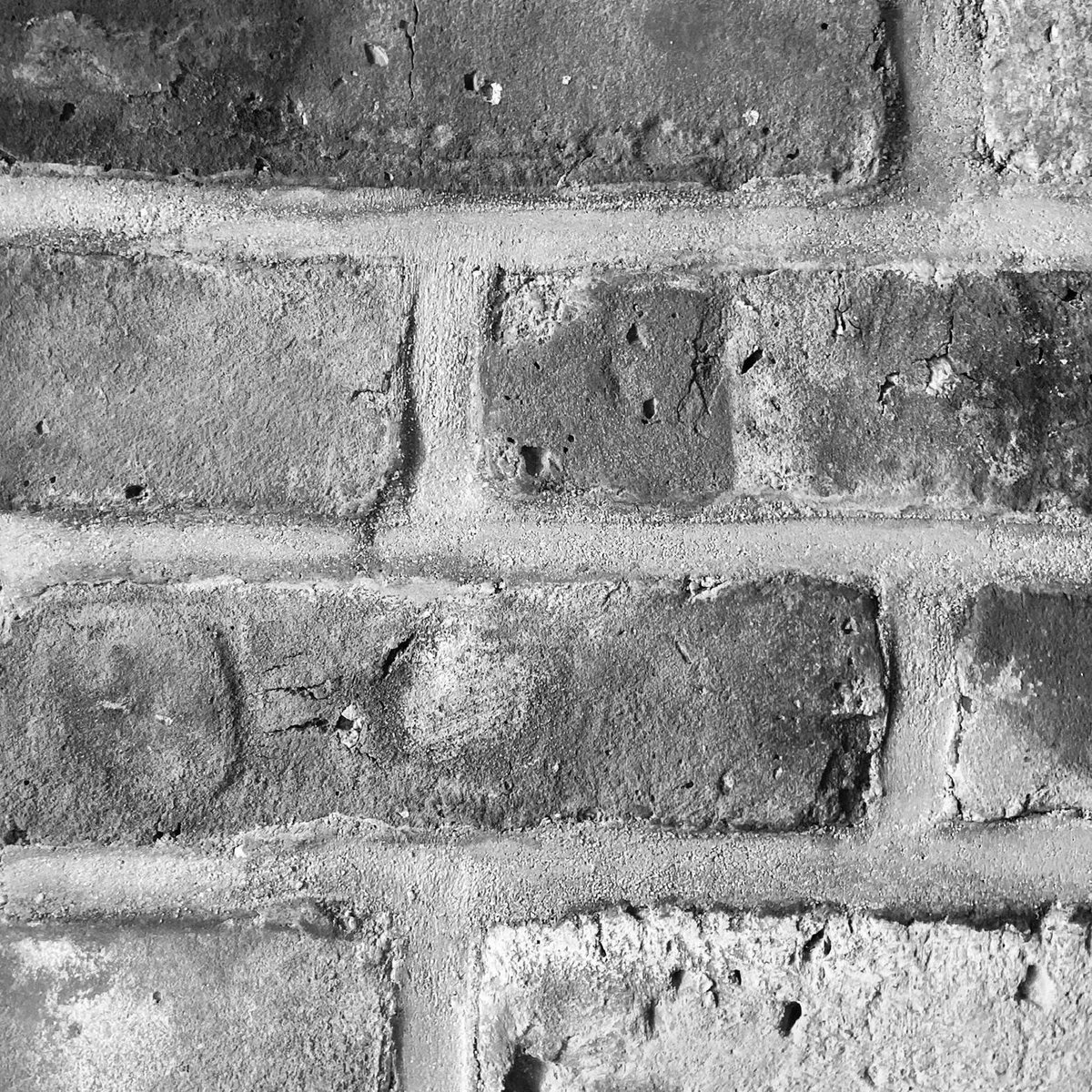 One Flew Over the East Village Michael Quinton