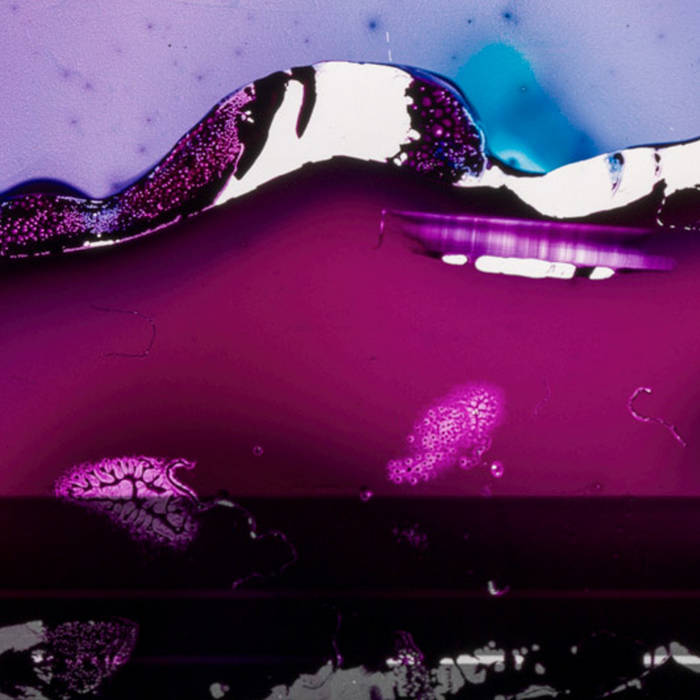 In The Cell of Dreams (Live Version)
von Shackleton & Wacław Zimpel & Siddhartha Belmannu