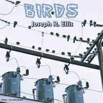 Birds cover art