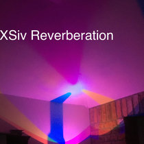 Excess Reverberation cover art