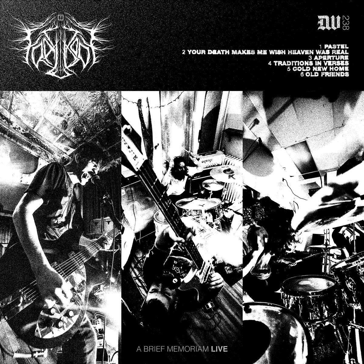 A Brief Memoriam (Live) | Frail Body